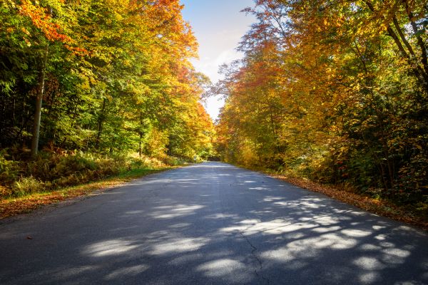 Cost of Blacktop Replacement in Jefferson City